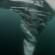 Ocean WHIRLPOOL Aka The Sea Tornado