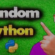 Полный курс по модулю Random в Python