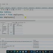 MySQL Stored Procedures Part 2 Passing Parameters