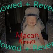 MACAN Кино Slowed Reverb