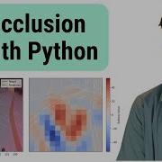 Occlusion In Practice With Python And Captum XAI For Computer Vision