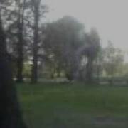 Two Step Wall Flip