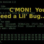 Debugging And Assembly On The Unexpanded PAL 1 Or MicroKIM