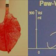 Basics Of Spirometry