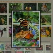 Photo Gallery With Lightbox Create Delightful Lightbox2 Galleries In Seconds
