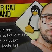 Mastering The Cat Command In Linux A Comprehensive Guide For Beginners