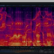 06 Coil ANS CD С 1 Spectrogram