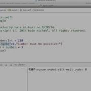 Creating Assertions In Swift