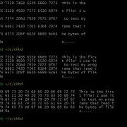 I Wrote A Hex Dump Program