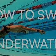 How To Swim Underwater The Dolphin Kick Blueprint