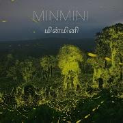 Minmini Fireflies Billions Of Synchronous Fireflies At The Anamalai Tiger Reserve