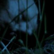 Supernatural The Visions