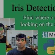 Part1 Iris Tracking How To Accurately Detect Irises In The Eye An Easy Guide Mediapipe