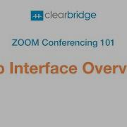 Zoom Interface Overview