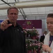 Spring Trials 2018 PP L Bailey And Southern Living Sunset Magazine