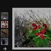 Dynamic Photo Gallery In Flash Using AS3 0 And XML Part 3 5 Flash Tutorials