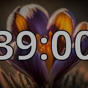 39 Minutes Timer With Music Spring Timer