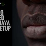 Getting Started With Maya Auto Setup Character Creator 5 Tutorial