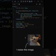 Resize Images In Python Quick Python Project Tutorial Shorts Python