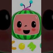 Cocomelon Meme