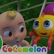 Itsy Bitsy Spider Many More Nursery Rhymes And Kids Songs Animals For Kids Animal Cartoons