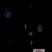 Firefly Serenity Asteroids Game Free