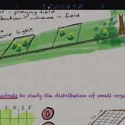 B7 Ecology Using Quadrats