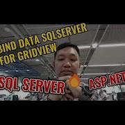 Bind Data From Database SQL Server To Gridview Website Use ASP NET