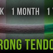 Tendon Training What Actually Changes In 7 Days 30 Days 1 Year