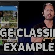 Image Classifier Example