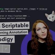 IMAGE CAPTIONING ANNOTATION With Prodigy PyTorch Custom Scriptable Machine Learning Annotation