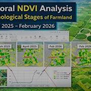 Временной анализ NDVI и фенологические стадии сельскохозяйственных угодий