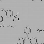 4 4a Functional Groups
