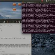 Installing Apache2 With PHP5 And MySQL Support On Ubuntu LAMP