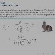 Growth Models Example Rabbit Population Logistic Model