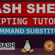 Bash Shell Scripting Tutorial 10 Command Substitution