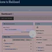 Bb Basics2 Adding Course Modules And Learning Modules