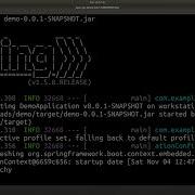 Spring Tips The Spring Boot Build Plugin