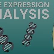 An Introduction To Gene Expression Analysis