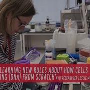 How Scientists Redesign DNA Codes