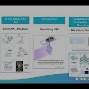 Introduction To Spatial Transcriptomics BGI Update