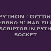 PYTHON Getting Errno 9 Bad File Descriptor In Python Socket