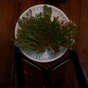 Rose Of Jerico Closing Timelapse