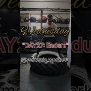 DAY27 Endure Plyometric Workout