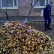 Взрыв кучи листьев Explosion Piles Of Leaves