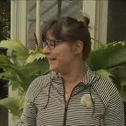Corpse Flower In Bloom At Botanical Gardens