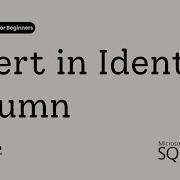 12 SQL Server Insert Into IDENTITY Column SET IDENTITY INSERT ON