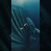 Thalassophobia Warning A Behemoth Rushed Out Of The Abyss Right Below Me DeepSea Scare