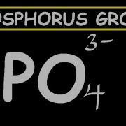 PHOSPHATE GROUP