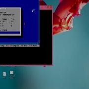 C Program Execution Process